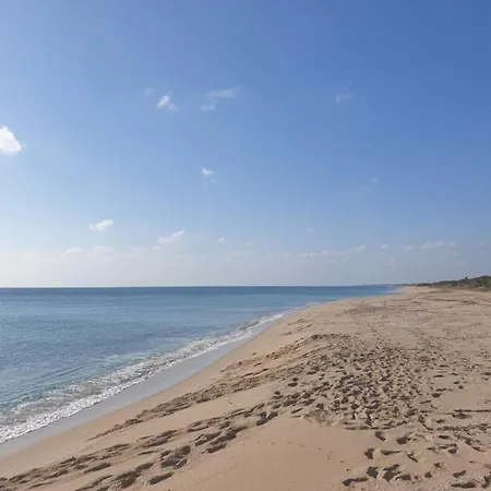 Le Di Pat - Palms Holiday home *