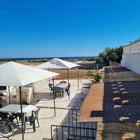 Holiday home Le Di Pat - Palms *