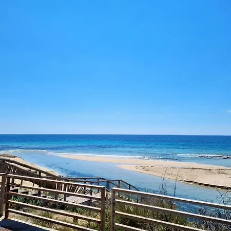 Le Di Pat - Palms * San Pietro in Bevagna